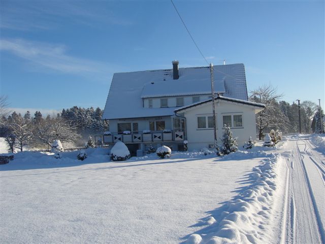 Haus Wiesengrund im Schnee